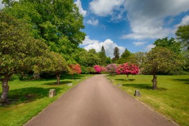 chilworth-manor-grounds-and-hotel-63-83920.jpg