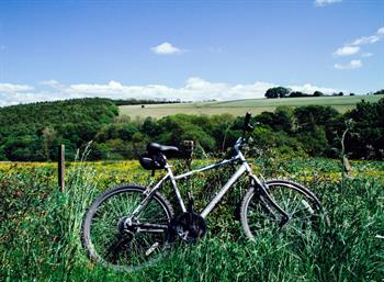 Biking holidays and cyclist friendly hotels