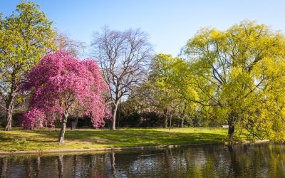 Camley Street Natural Park