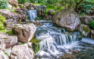 Kyoto Garden