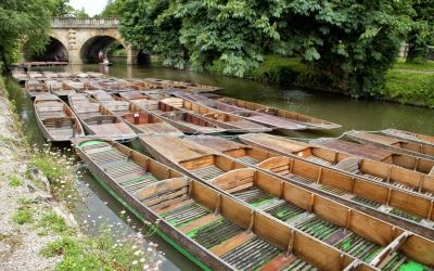 Punting on the River Cam