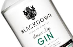 Blackdown Gin