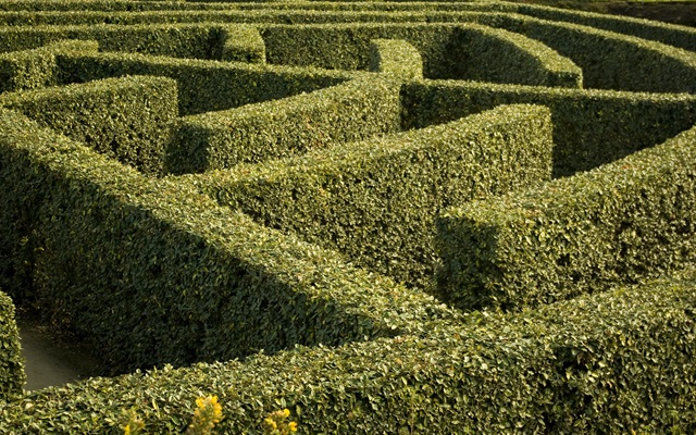 York Maze