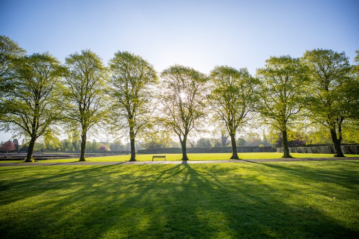 Abbey Park
