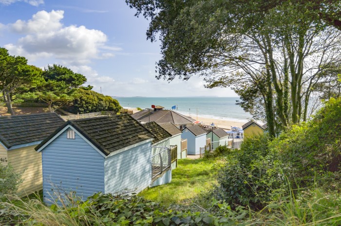 Boscombe Chine Gardens