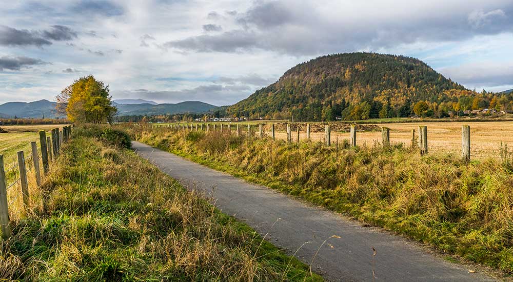 Deeside-Way,-Aberdeenshire