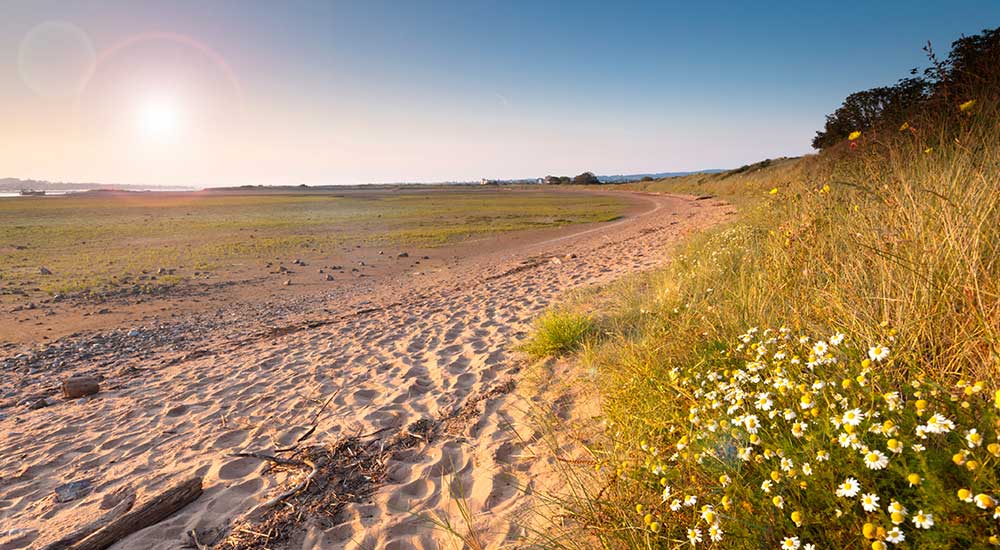 Exe-Estuary-Trail,-Devon