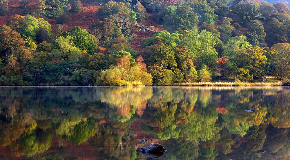 Rydal-Water,-Lake-District