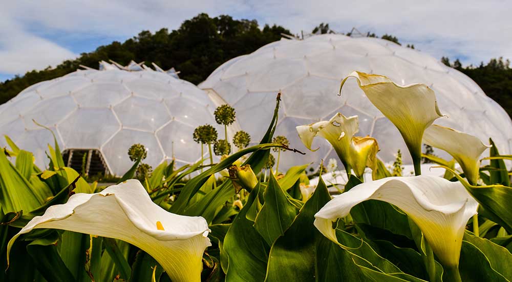 The-Eden-Project,-Cornwall